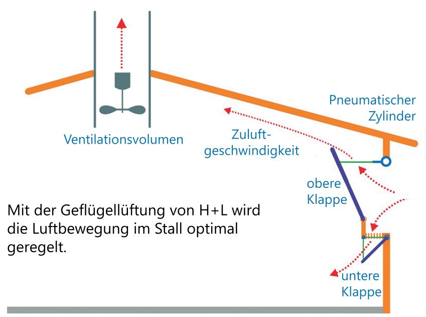 Sommergeflügellüftung