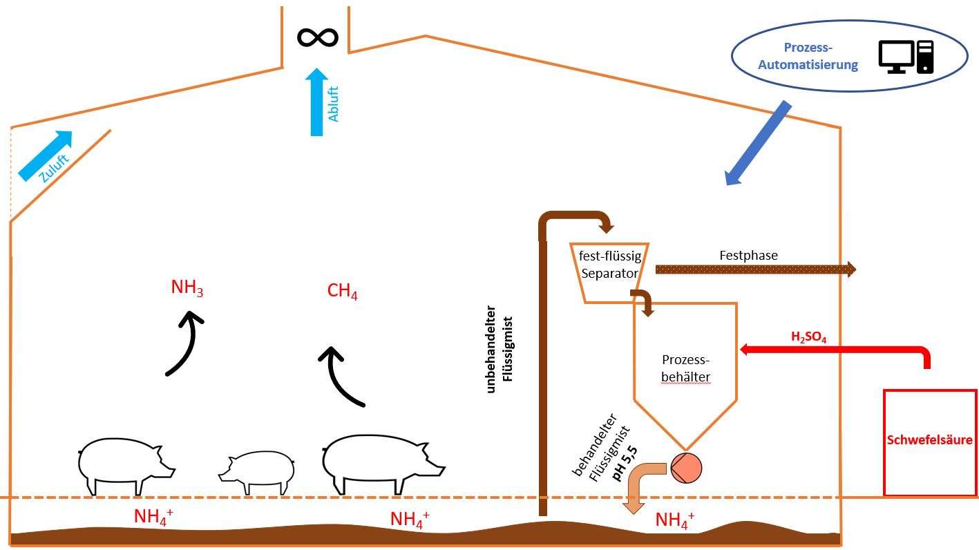 Acidification du lisier