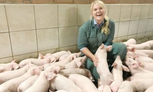 technologie d'engraissement des porcs construction de granges emsland